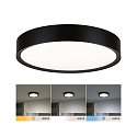 bath luminaire TEGA CCT Switch, switchable IP44, wood, mat 