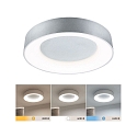 Paulmann bath luminaire CASCA CCT Switch, switchable IP44, aluminum matt 