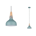 Paulmann Pendant luminaire Neordic Juna 1 flame, soft green/copper/wood, 16cm