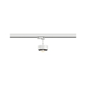 Paulmann 3-phase spot PRORAIL3 LED IP20, black, white dimmable