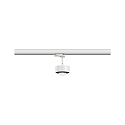 Paulmann 3-phase spot PRORAIL3 LED IP20, black, white dimmable