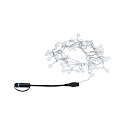 Paulmann light chain PLUG & SHINE LIGHT CHAIN 5 short IP44, black dimmable