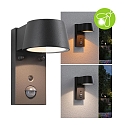 Paulmann outdoor wall luminaire CAPEA with motion detector, switchable, insect friendly IP44, anthracite 
