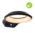 Paulmann outdoor wall luminaire ANELA PIR with sensor, insect friendly, sea-air resistant IP44, anthracite 