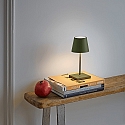 SIGOR battery table lamp NUINDIE MINI USB-C up / down, with USB connection, CCT Switch, with touch dimmer IP54, pine green dimmable