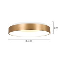 Steinhauer ceiling luminaire RINGLEDE - � 48CM large, round, direct / indirect IP20, gold dimmable