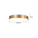Steinhauer ceiling luminaire RINGLEDE - � 30CM small, round, direct / indirect IP20, gold matt dimmable