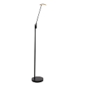floor lamp DAPHNE 1 flame IP20, black dimmable