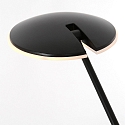 Steinhauer floor lamp DAPHNE 1 flame IP20, black dimmable