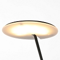 Steinhauer floor lamp DAPHNE 1 flame IP20, black dimmable