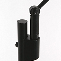 Steinhauer floor lamp DAPHNE 1 flame IP20, black dimmable