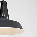 Mexlite Mexlite Pendant luminaire EDEN, 1 flame, 42cm, black
