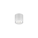 spot RAY MINI CEILING SURF 1.0 PAR16 GU10 IP20, white matt 