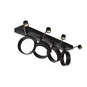 Wall and Ceiling luminaire KALU CW, Quad, QPAR111, 4x max. 75W, black