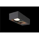 LED Outdoor luminaire ESKINA FRAME WL DOUBLE LED Wall luminaire, CCT switch, 3000/4000K, 1100/1200lm, IP65, anthracite