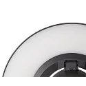 SLV outdoor wall luminaire I-RING round, switchable, with diffuser, cardanic swivelling IP65, anthracite 