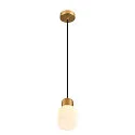 pendant luminaire VARYT E14 IP20, chrome