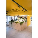SLV 3-phase spot GRIP! M DALI swivelling, DALI controllable, UGR < 19 IP20, gold matt dimmable