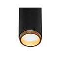 SLV 3-phase spot GRIP! M DALI DTW swivelling, DALI controllable, Dim-To-Warm, UGR < 19 IP20, black dimmable