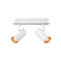 SLV wall and ceiling luminaire NOBLO® DOUBLE PHASE 2 flames, round IP20, white dimmable