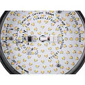 SLV track spot GRIP! FLAT round IP20, gold, black, lacquered dimmable