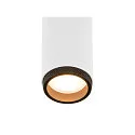 SLV ceiling luminaire GRIP!M DOUBLE IP20, black, white, lacquered dimmable