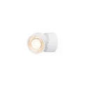 SLV wall and ceiling luminaire KALU 2.0 SINGLE PHASE 1 flame, UGR < 19, cardanic swivelling IP20, white dimmable