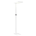 floor lamp WORKLIGHT 2.0 FL UP/DOWN with touch dimmer, U-shape, UGR < 13 IP20, grey dimmable