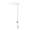SLV table lamp WORKLIGHT 2.0 TL UP/DOWN with touch dimmer, UGR < 13, with table clamp IP20, white dimmable