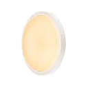AINOS, Outdoor Ceiling luminaire, LED, 3000K, round, anthracite