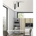 ACB ceiling luminaire ZOOM 45 GU10 IP20, white 