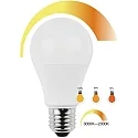HWH LED Lamp pear shaped 10 W warmwhite, Dim to warm