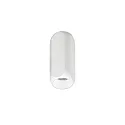 downlight PENCIL MAXI cylindrical, surface-mounted version IP20, powder coated, white dimmable