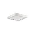 LED panel REFIDO TW DALI-2 / 32.5 X 32.5 CM surface-mounted version, tunable white, UGR < 19, switchable, dimmable 13