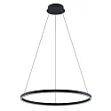 pendant luminaire GRAHAM 1-fold, ring shape IP20, black matt dimmable
