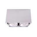 Ceiling luminaire MONA II, 50W, 2x GU10, 220-240V, IP20, white