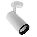ceiling luminaire LUCEA TILT 30 CCT Switch, adjustable IP20, transparent, traffic white dimmable
