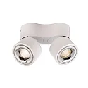 ceiling luminaire UNI II MINI DOUBLE TILT 2 flames, cardanic swivelling IP20, white dimmable