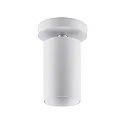 ceiling luminaire CAN TILT ROUND Ø 8CM 1 flame, round, cardanic swivelling GU10 IP20, white