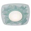 Elobra LED Ceiling luminaire SCANDI „SAVANNE“ LED board + 20 LED, 11W, 3000K, orange