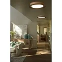 Faro wall and ceiling luminaire TENDER LED IP20, black matt 