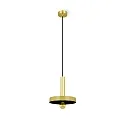 pendant luminaire WHIZZ E27 IP20, gold, black 