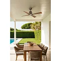 Faro Ceiling fan TYPHOON M with remote control IP44, brown, maple