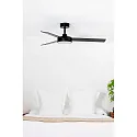 Faro Ceiling fan BARTH with remote control IP20, black matt