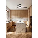 Faro Ceiling fan BARTH with remote control IP20, black matt