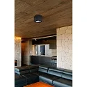 Faro ceiling luminaire TECTO G53 IP20, black matt 