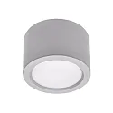 LED Downlight, 21W, 4000K, 2600lm, IP65, DALI dimmable, silver