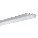 damp-proof luminaire WNL14 9568 DALI controllable IP68, grey dimmable