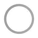 sealing ring SARA 18-21,7cm, silver