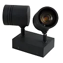 HEITRONIC Wall luminaire BORNEO Outdoor luminaire, 2 flames, GU10, IP65, anthracite